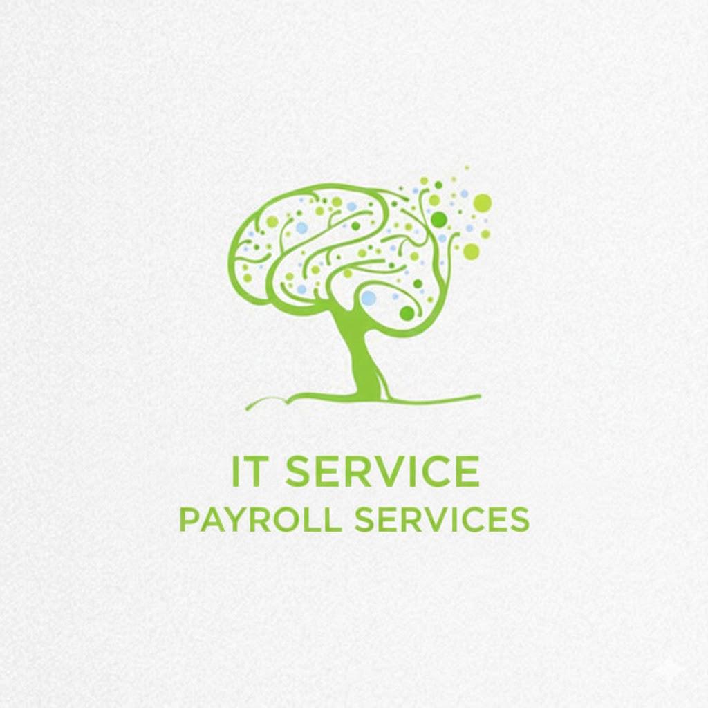 Triaura IT Services and Staffing Team